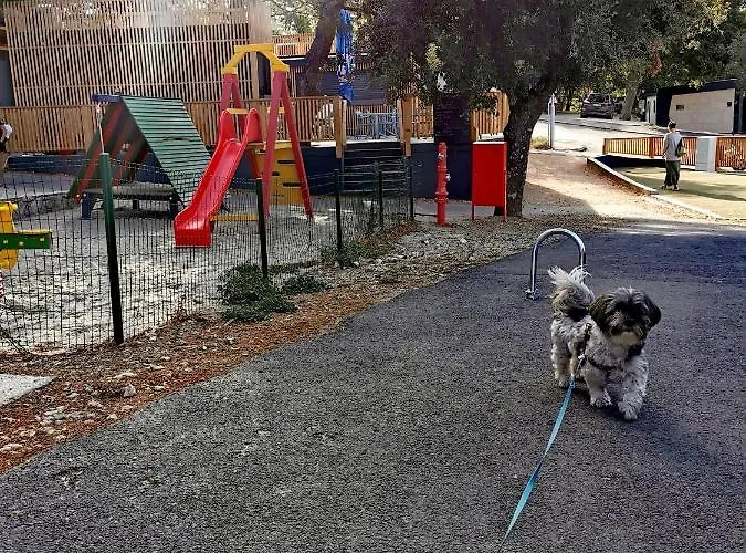 Mobile Aurora * Selce